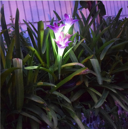 Outdoor Solar Garden Light