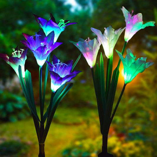 Outdoor Solar Garden Light